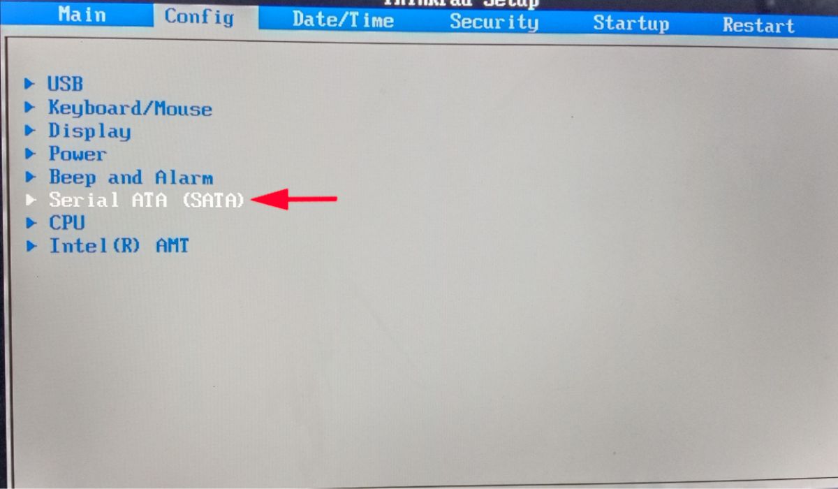 Opting for the "Serial ATA (SATA) option under "Config."