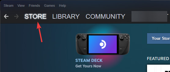 Steam Store
