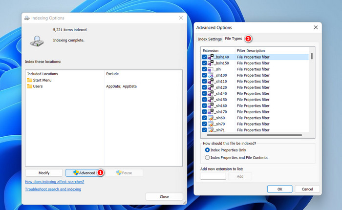 Exclude file types in Indexing Options settings.