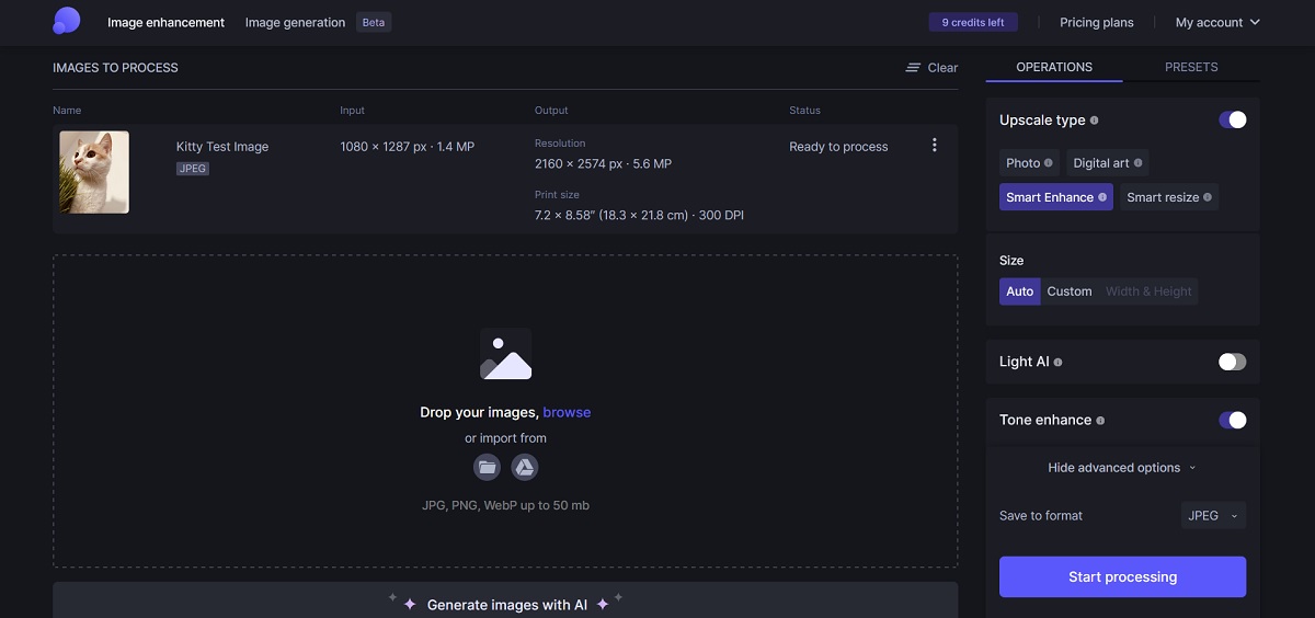Uploaded image view in LetsEnhance web tool. 