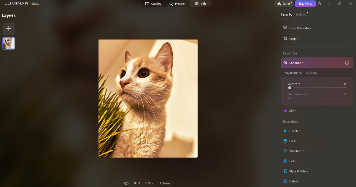 Adjustment options in Luminar Neo app for Windows. 
