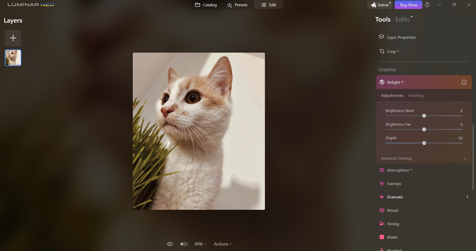 Relight menu options for image in Luminar Neo app for Windows.