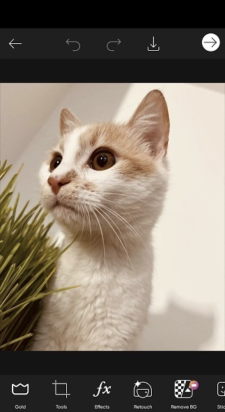 Picsart app for Android with Effects visible. 