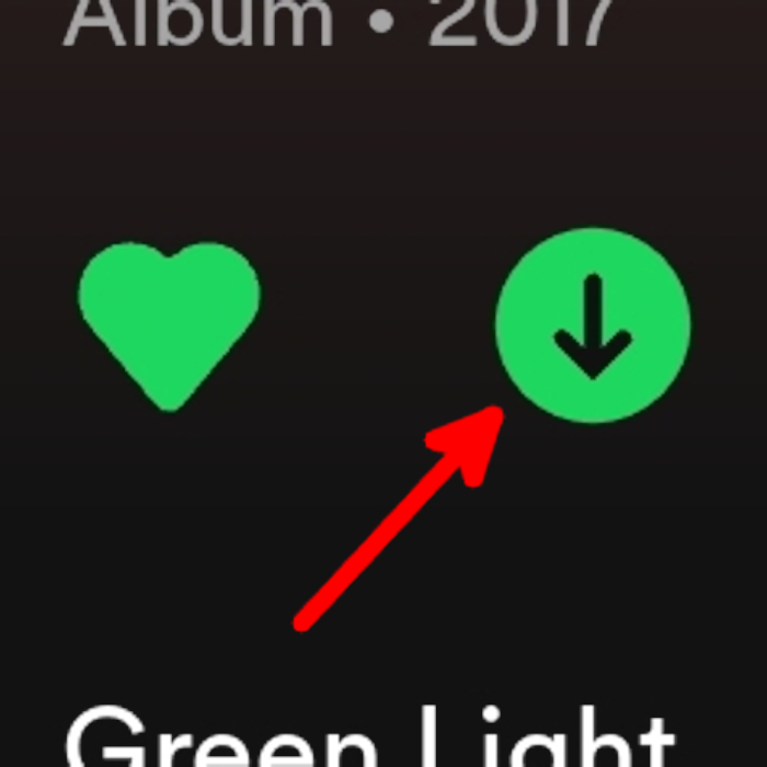 Android Spotify Delete Download