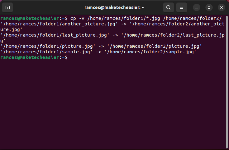 A terminal showing a multi-file copy using shell wildcards.