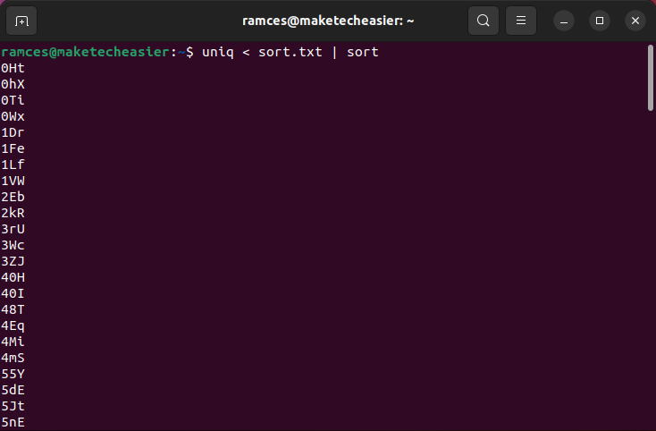 A terminal showing a simple input redirection command.