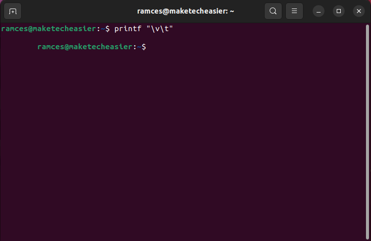 A terminal showing two different control characters.