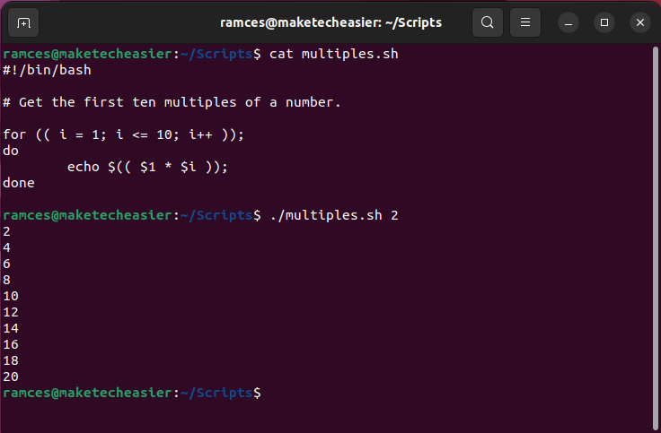 A terminal showing a simple multiples program using shell arithmetic characters.