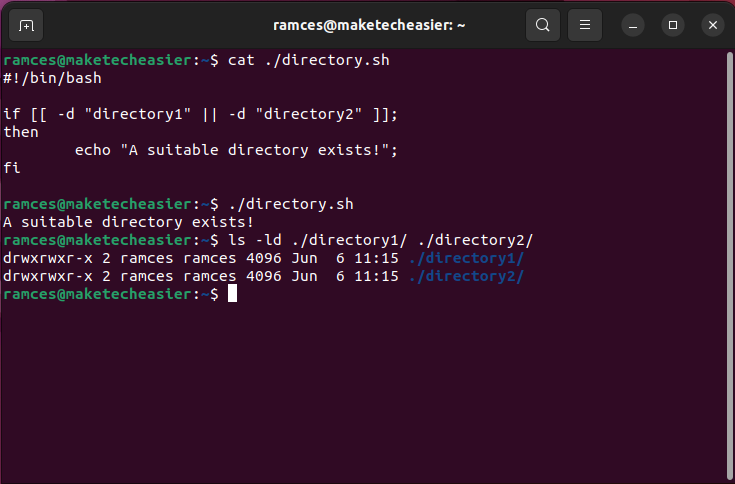 A terminal showing the OR operator between two directory detection tests.