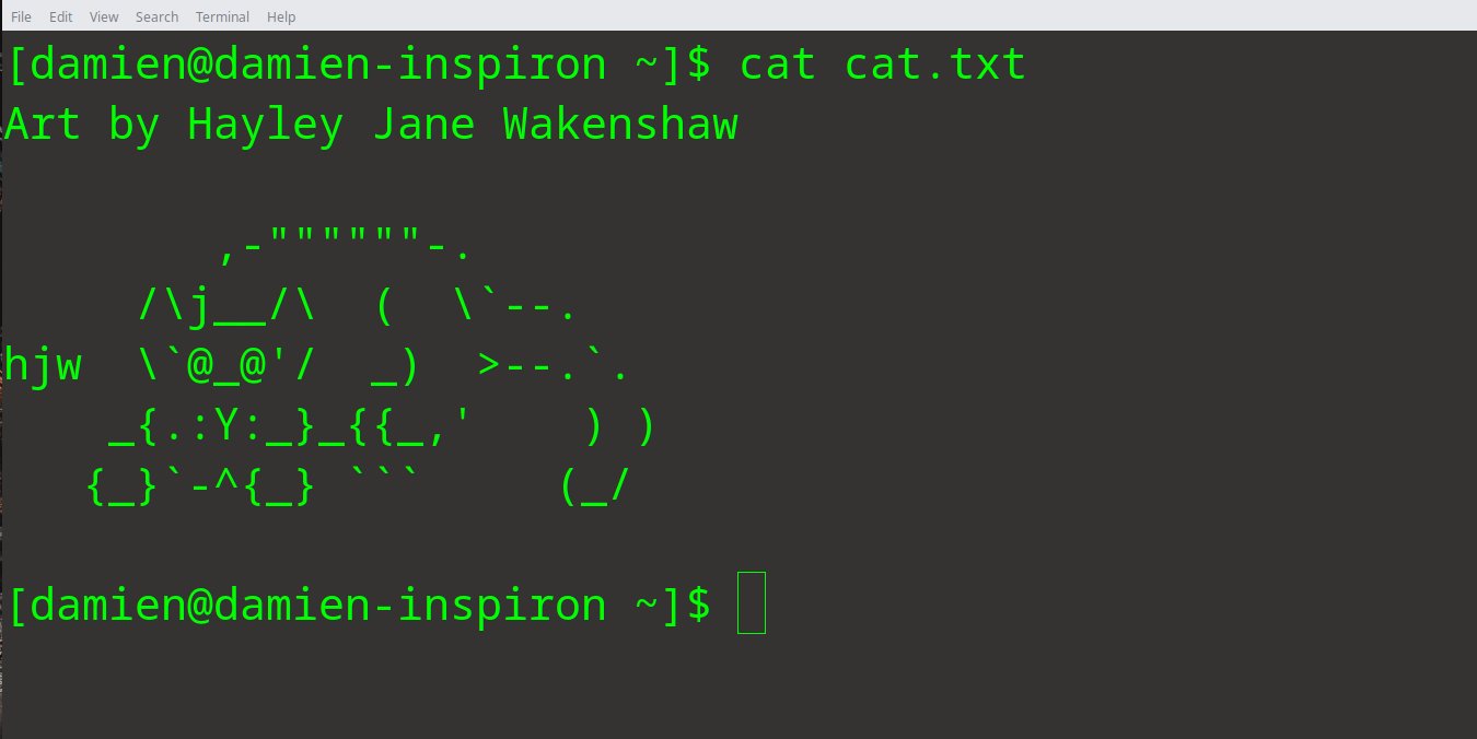 Cat Command Linux Featured