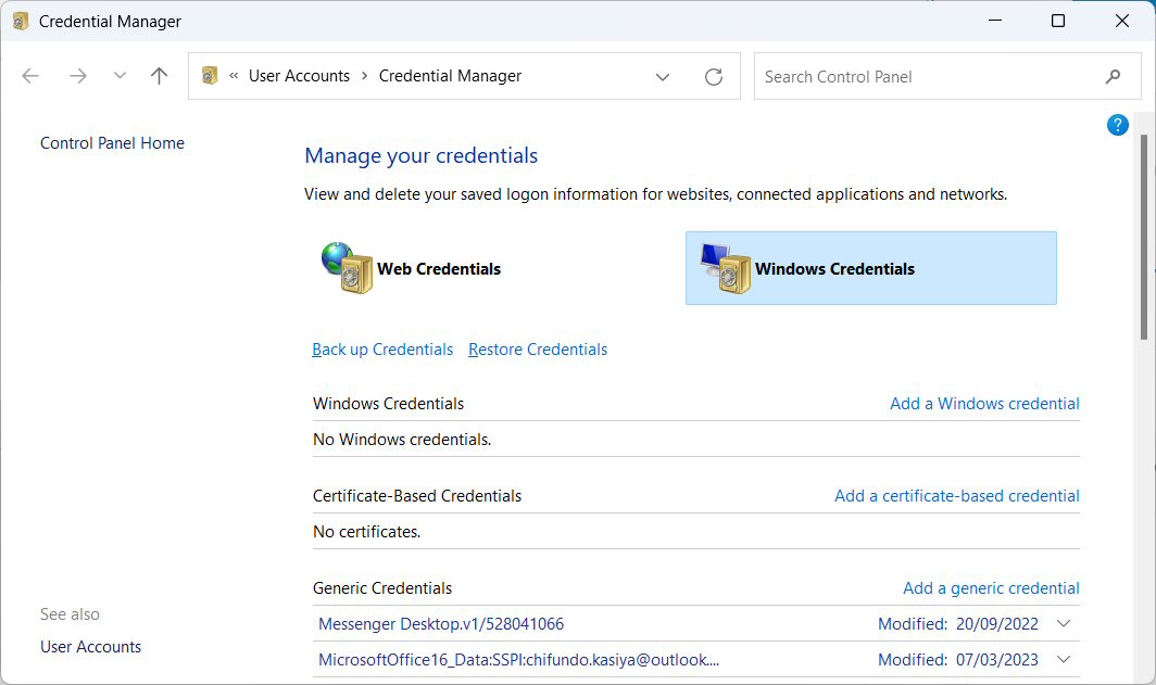 Selecting "Windows Credentials" option. 
