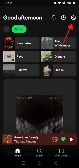 Clicking gear icon in Spotify app.