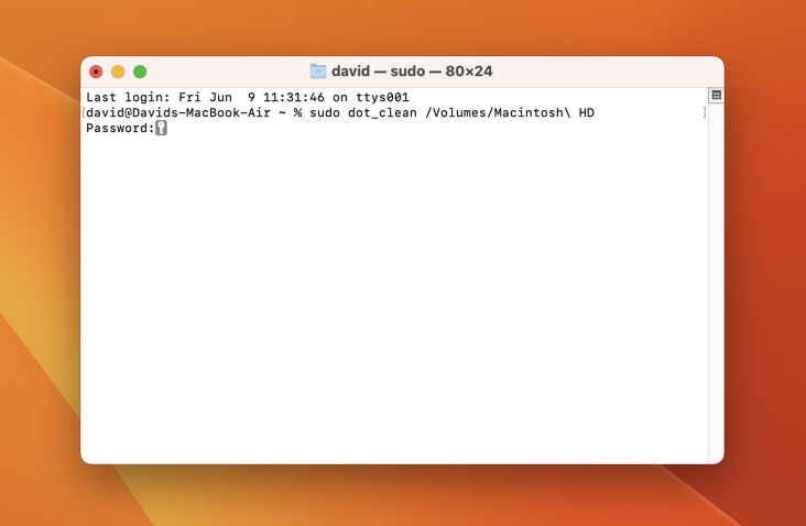 Dot Clean Command Terminal