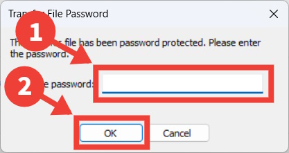 The process of entering a password in Transwiz for Windows.