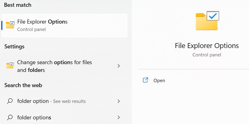 Folder Options in the Search results on Windows.