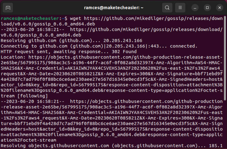 A terminal window showing the download process for Gossip.