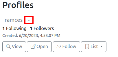 A screenshot showing the down arrowhead for a Nostr account in Nostr.Band.