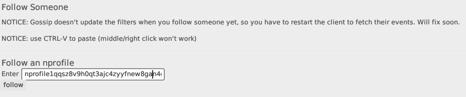 A screenshot showing the nprofile key inside the Gossip interface.