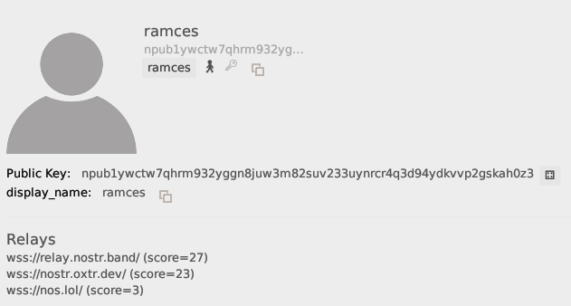 A screenshot of the user ramces inside Gossip.