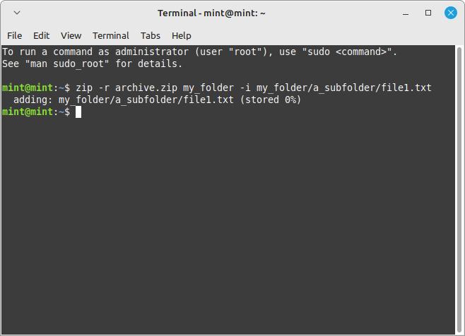 Linux Terminal Using The I Flag