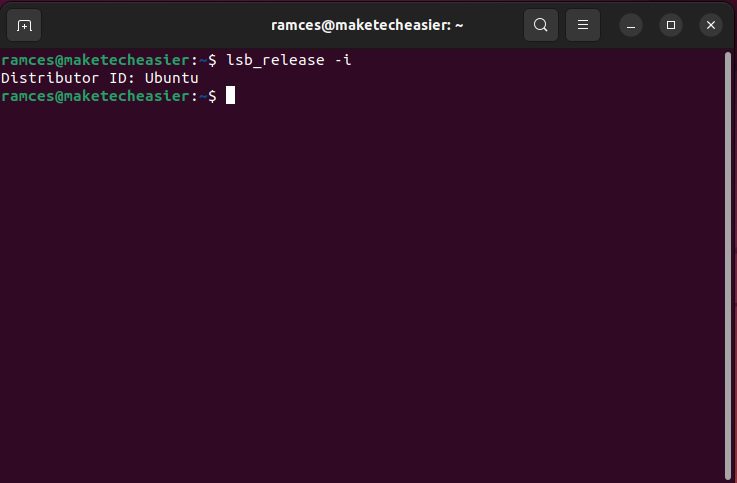 A terminal showing the output of lsb_release printing the name of the system's distribution.