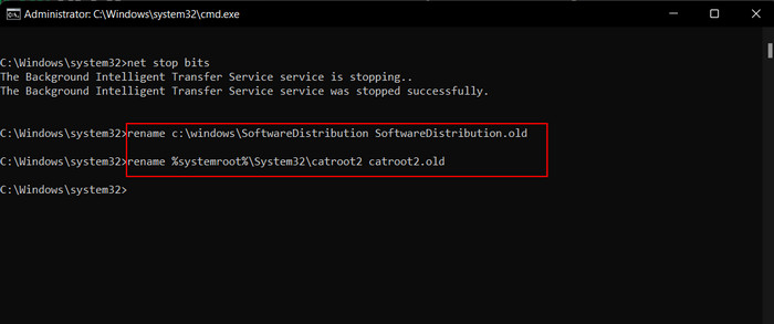 Executing rename commands in cmd.