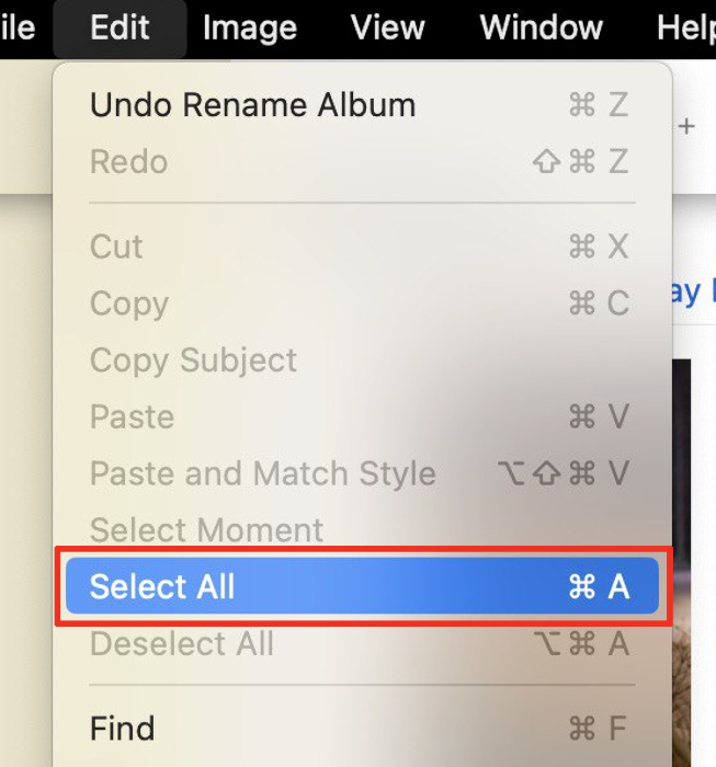 Select Multiple Photos Mac Hover Select All