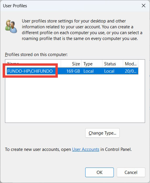 User Profile Name in the User Profiles dialog box.