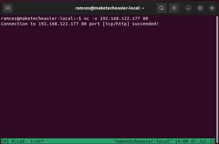 A terminal showing a basic port scan for port 80.