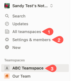 All Teamspace, Settings & Members, and Teamspaces in the Notion sidebar