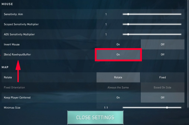 Enabling Raw Input from within Valorant game.