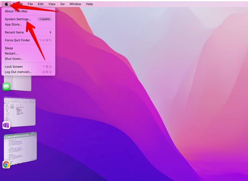 Tap System Settings on Mac