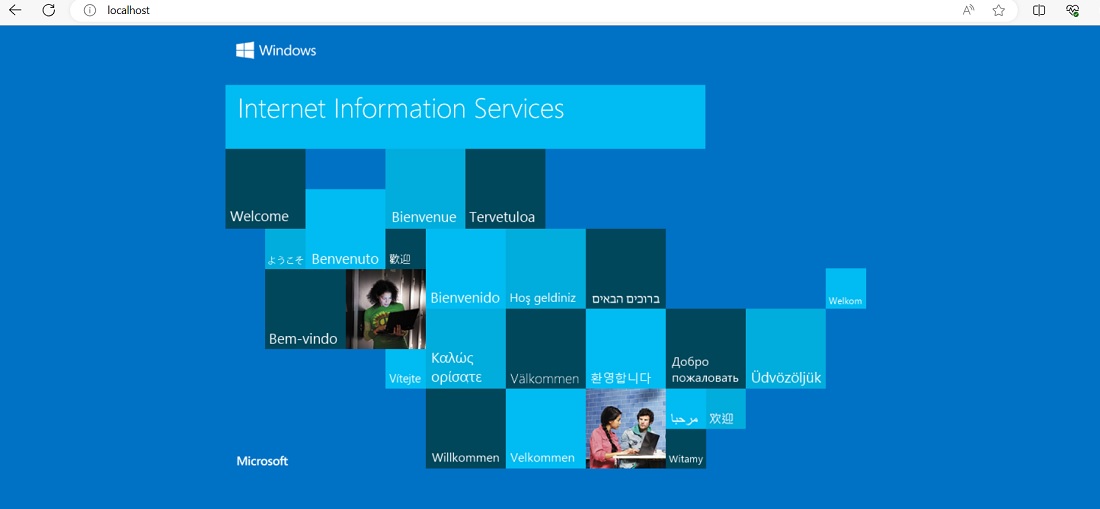 Local Host in Nginx pointing to IIS website. 