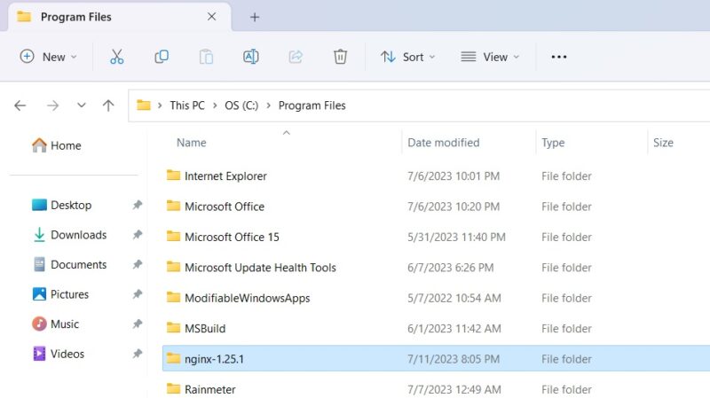 Moving extracted Nginx folder to the Program Files. 