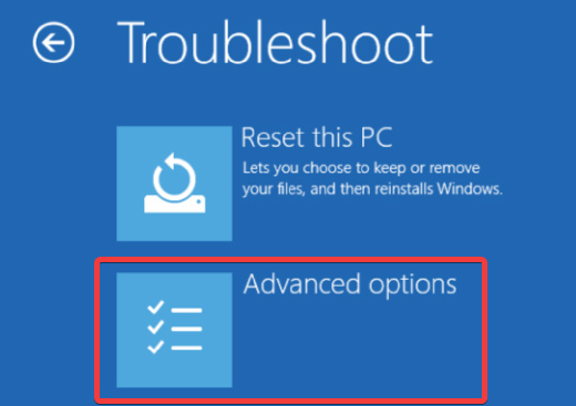 Opening Advanced Options On Windows