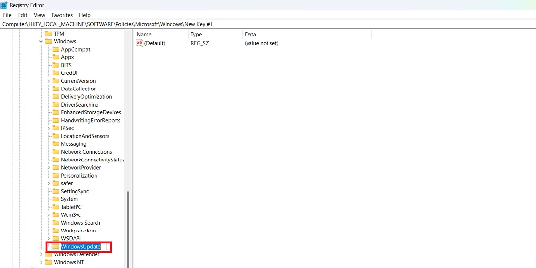 Created new key named "WindowsUpdate" in Registry Editor under Policies > Windows. 