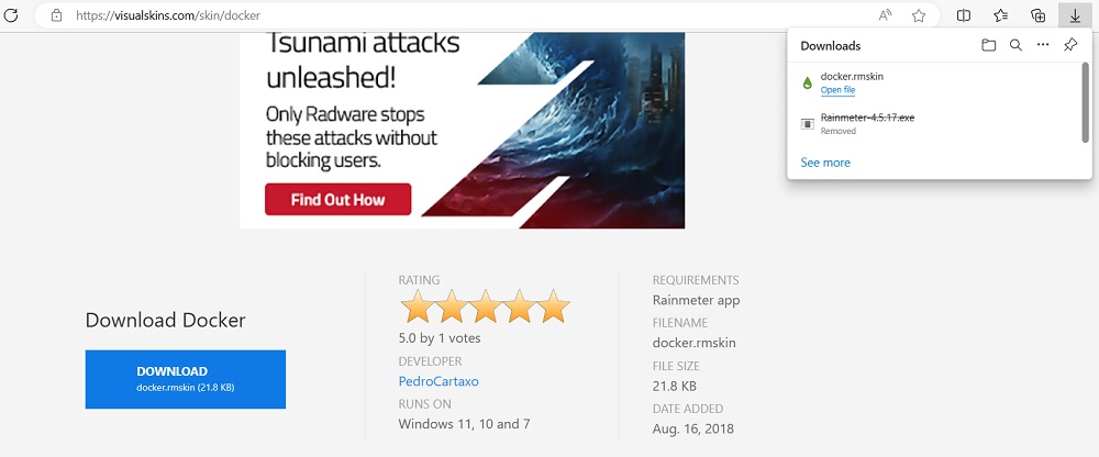 Docker, a Rainmeter skin being downloaed from Visualskins.com