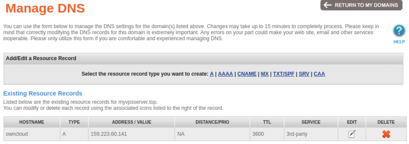 A screenshot of the DNS record for the demo server.