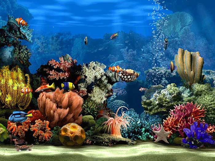 Living Marine Aquarium 2 1