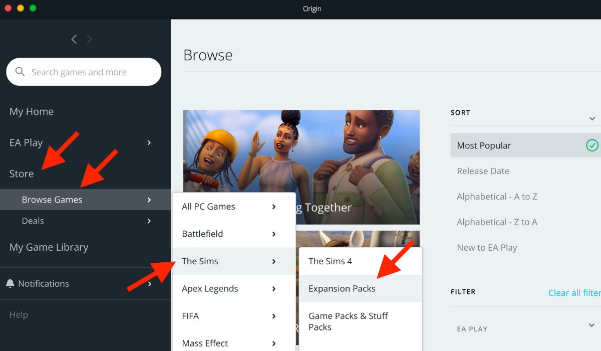 Origin Install Sims4 Extension Pack