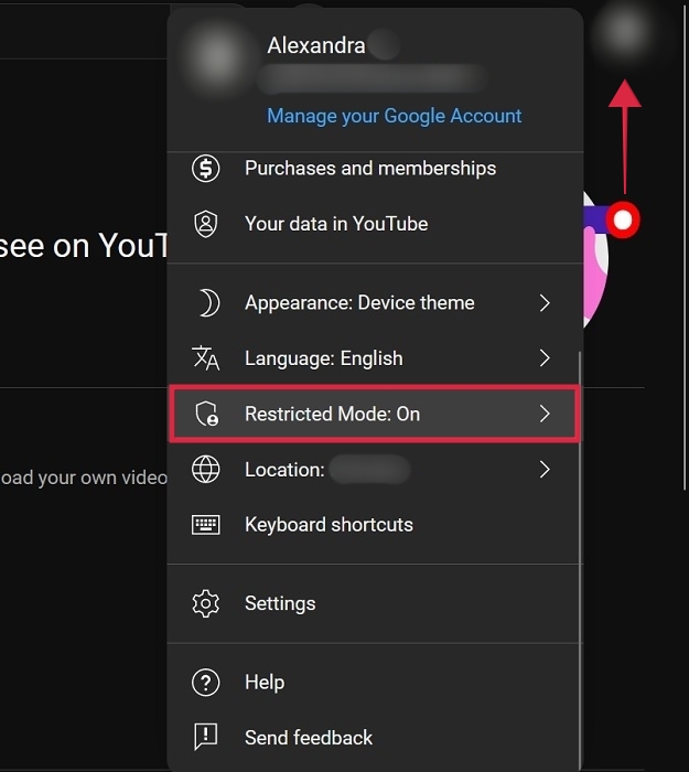 Clicking "Restricted Mode: On" in YouTube on PC.