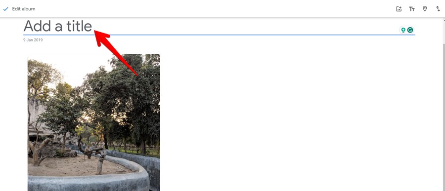 Google Photos Pc Album Name