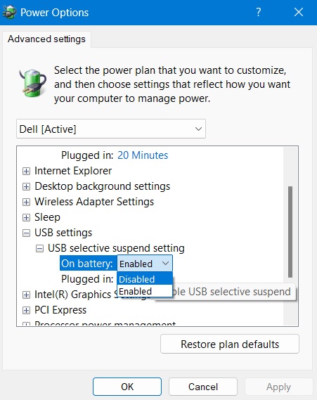 USB Selective Suspend Setting set to "Disabled" using the drop-down menu.