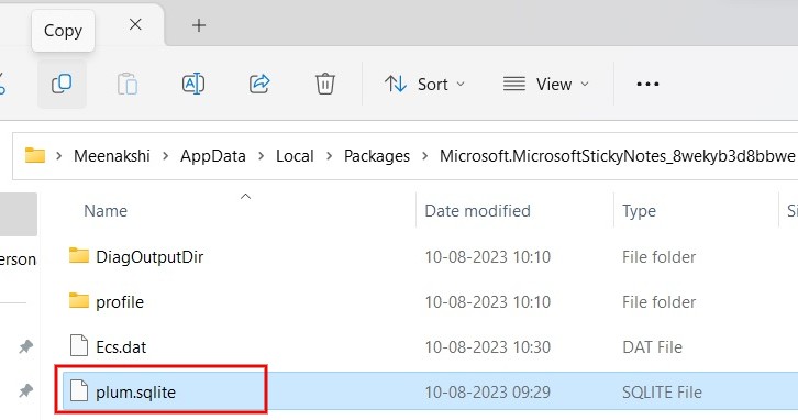 Selecting plum.sqlite in File Explorer.