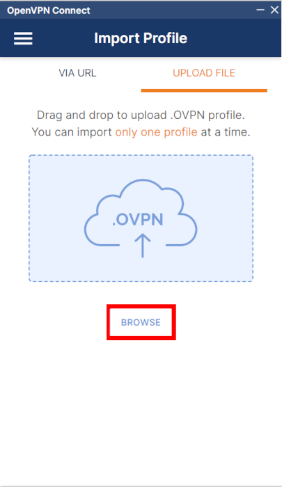 A screenshot showing the Browse button for the OpenVPN client.