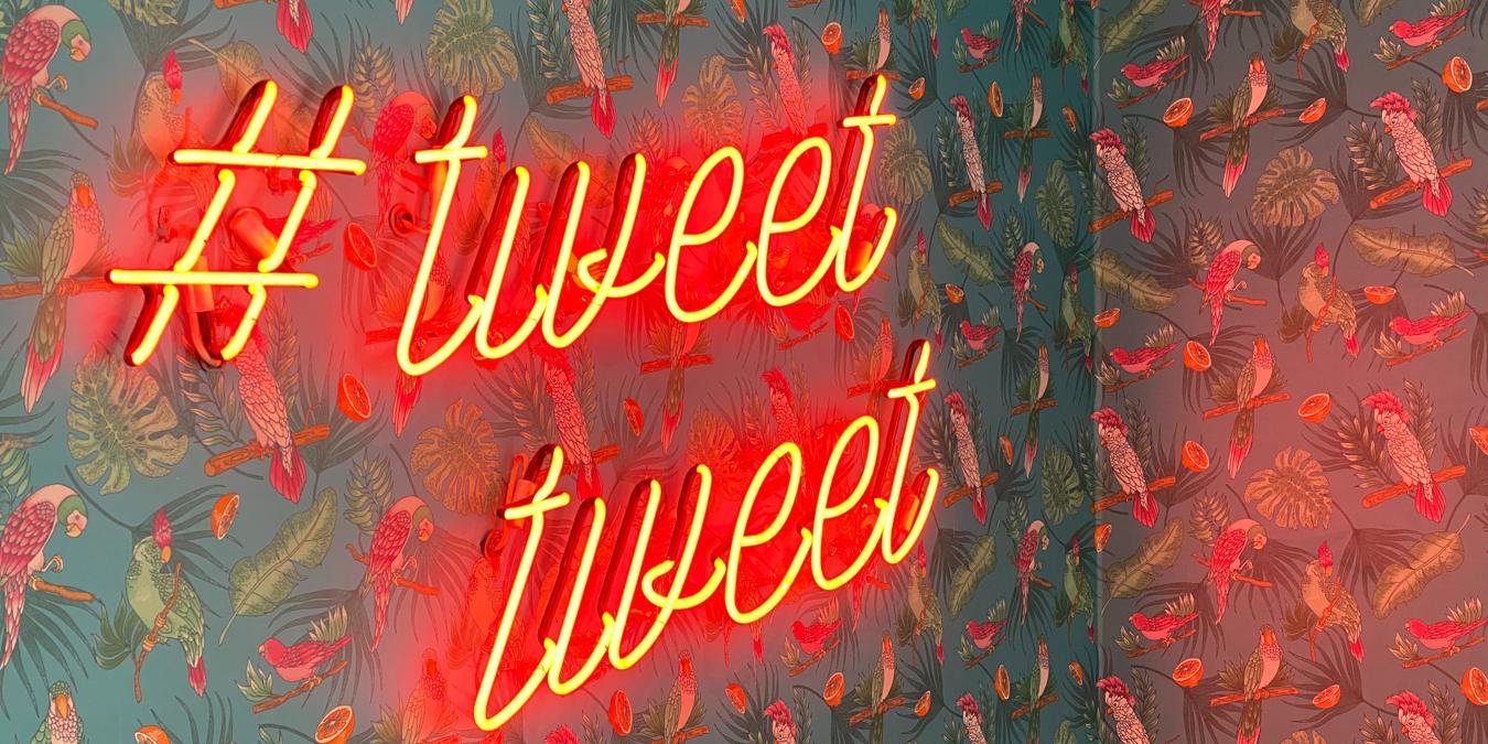 Feature Image How To Save Twitter Gifs