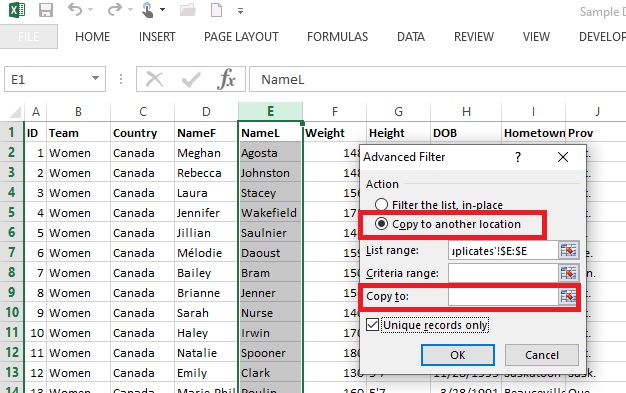 Copy the Advanced Filter to another location in Excel
