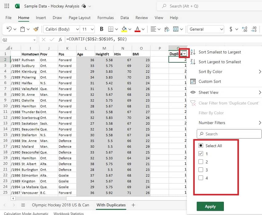 Show or hide duplicate filters in Excel