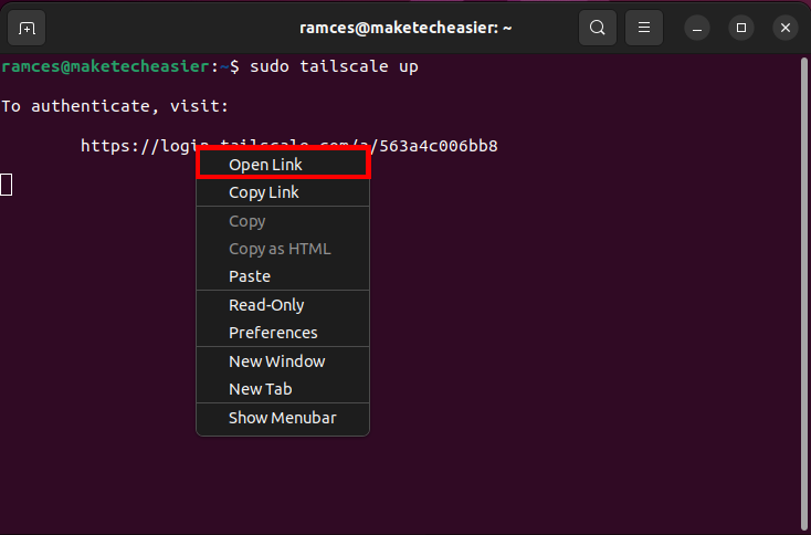 A terminal highlighting the process of opening a link.