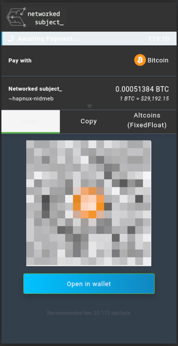 A screenshot showing the payment page for the Urbit ID.
